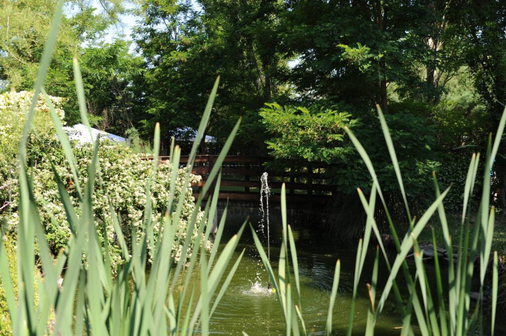 Dettaglio vegetazione del giardino di Boutique Hotel in Romagna - Villa Monet