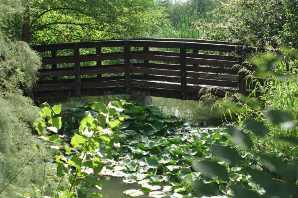Area verde riservata di Boutique Hotel in Romagna - Villa Monet